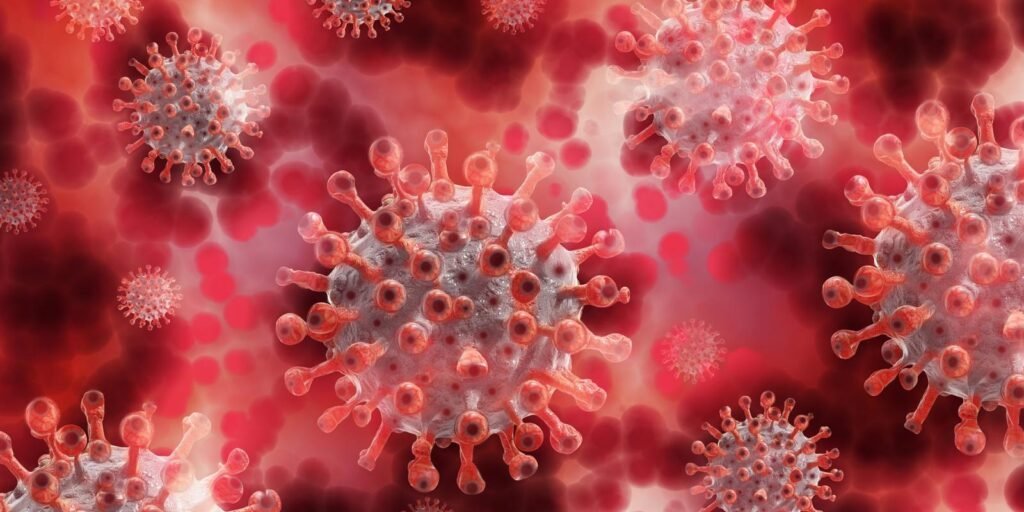 What vaccinations do you need for a trip to Morocco?