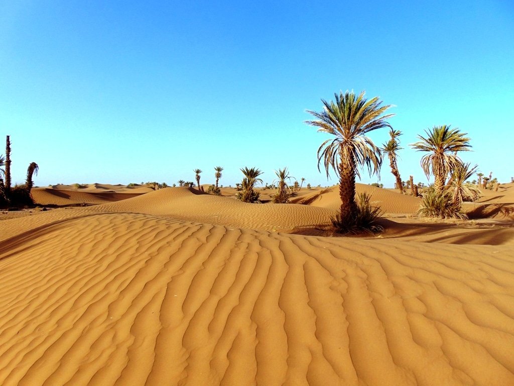 top itineraries from Marrakech