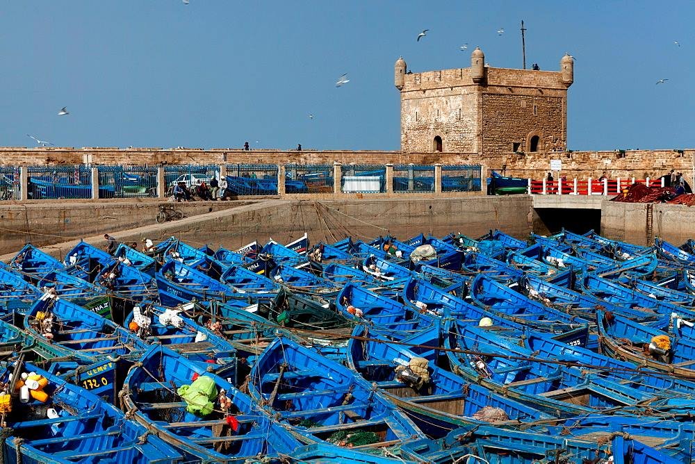 Marrakech day trips city tour