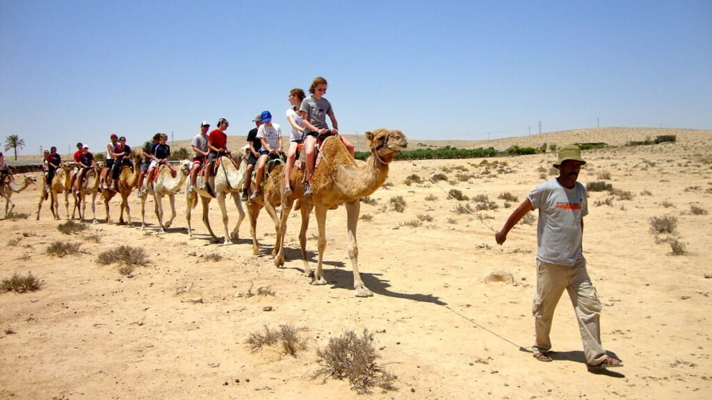 Agafay desert sunset camel ride parents guide to Morocco